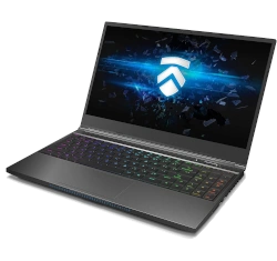 Eluktronics Mech-15 G3 AMD Ryzen 9 5900HX RTX 3070 laptop