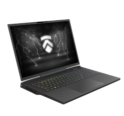 Eluktronics Mech G2 17" AMD Ryzen 9 6900HX RTX 3070 Ti laptop