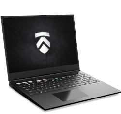 Eluktronics Mech GP 16" Intel Core i9-13th Gen RTX 4070 laptop