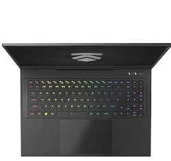 Eluktronics Mech GP2 17" Intel Core i9-13th Gen RTX 4080 laptop