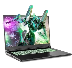 SAGER CLEVO 17.3" Intel Core i9-13th Gen RTX 4060 laptop