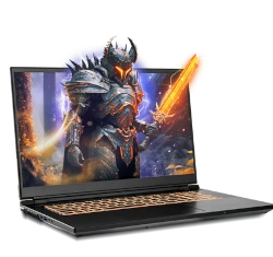SAGER CLEVO 17.3" Intel Core i9-13th Gen RTX 4080 laptop
