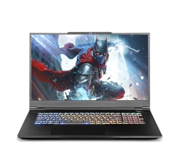 SAGER CLEVO 17.3" Intel Core i9-13th Gen RTX 4090 laptop
