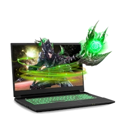 SAGER CLEVO 17.3 NP7877DW-S NH77DDW Intel Core i7 10th Gen RTX 2060 laptop