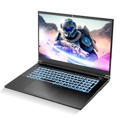 Sager Clevo NP8675-S (6th Gen Core i7) laptop
