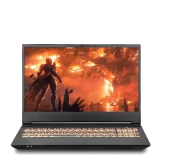 Sager NP7958F1 (CLEVO NH58AF1) AMD Ryzen 5 3600 RTX 2070 laptop