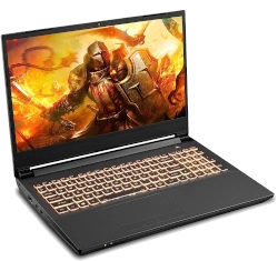 Sager NP7958F1-S (CLEVO NH58AF1) Ryzen 9 3900 RTX 2070 laptop