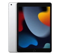 Apple 256GB WiFi tablet