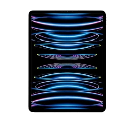 Apple iPad Pro 12.9 A1670 256 GB (Cellular + Wi-Fi) tablet
