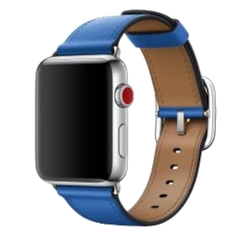 Apple Watch 42mm SS Marine Blue Classic Buckle MMFU2LL/A watch