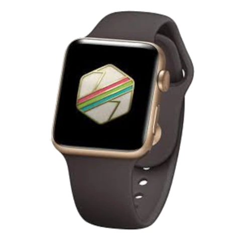 Apple Watch 42mm SS Saddle Brown Classic Buckle MLC92LL/A watch