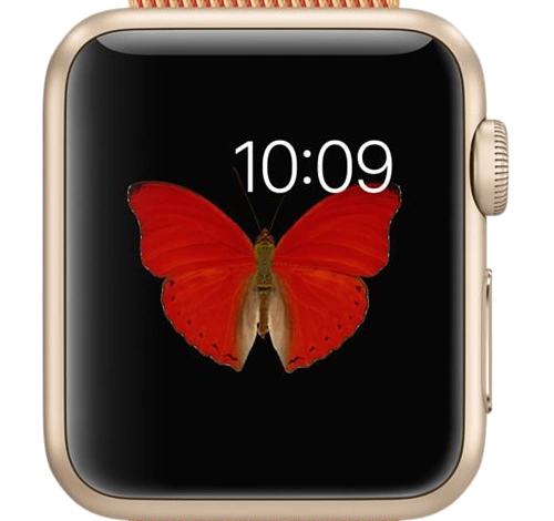 Apple Watch Sport 38mm Gold Aluminum Gold Red Woven Nylon Band MMF52LL/A watch